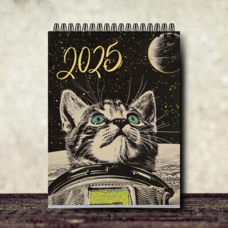 2025 Space Cats Calendar | 12 Month Calendar | Cute Cat Calendar